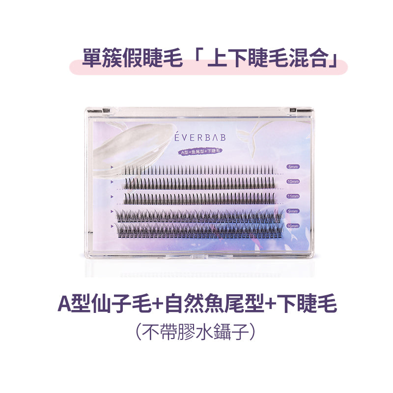 EVERBAB 單簇假睫毛 *現貨*