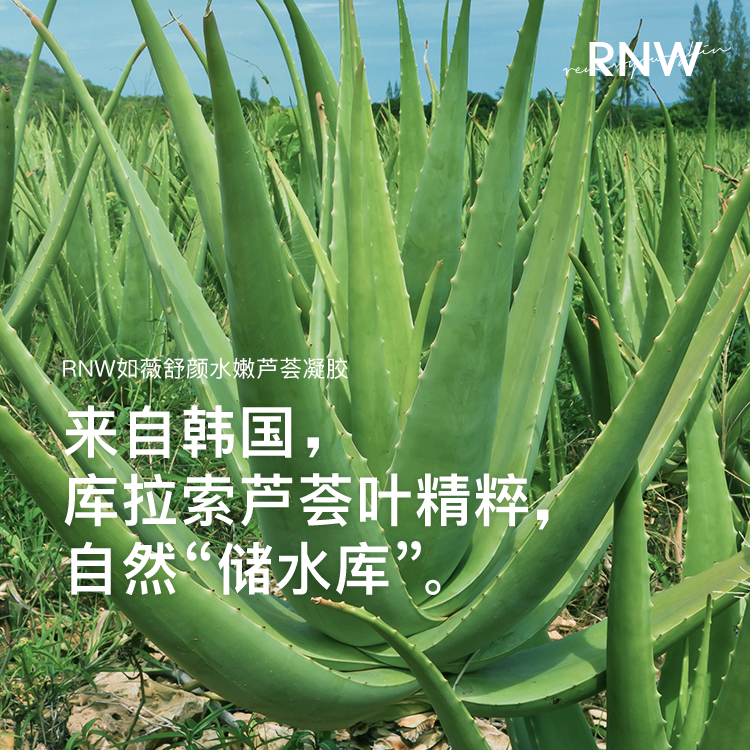 RNW 舒顏水嫩蘆薈凝膠